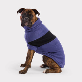 Catalyst Dog Sweater | Blue