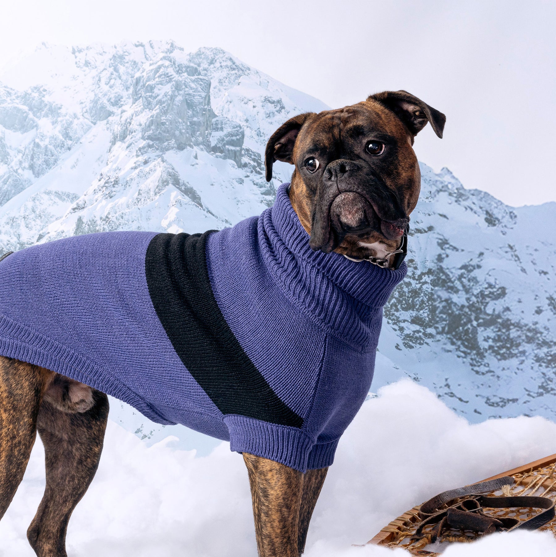 Catalyst Dog Sweater | Blue