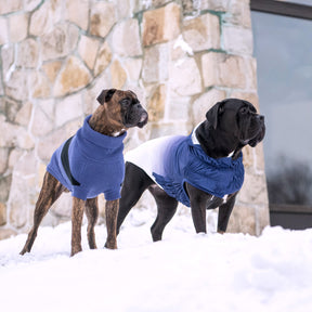 Catalyst Dog Sweater | Blue