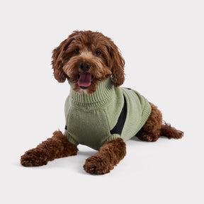 Catalyst Dog Sweater | Green