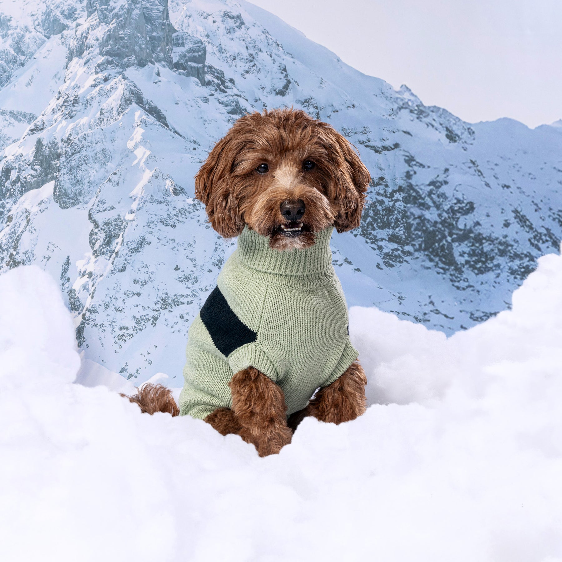 Catalyst Dog Sweater | Green