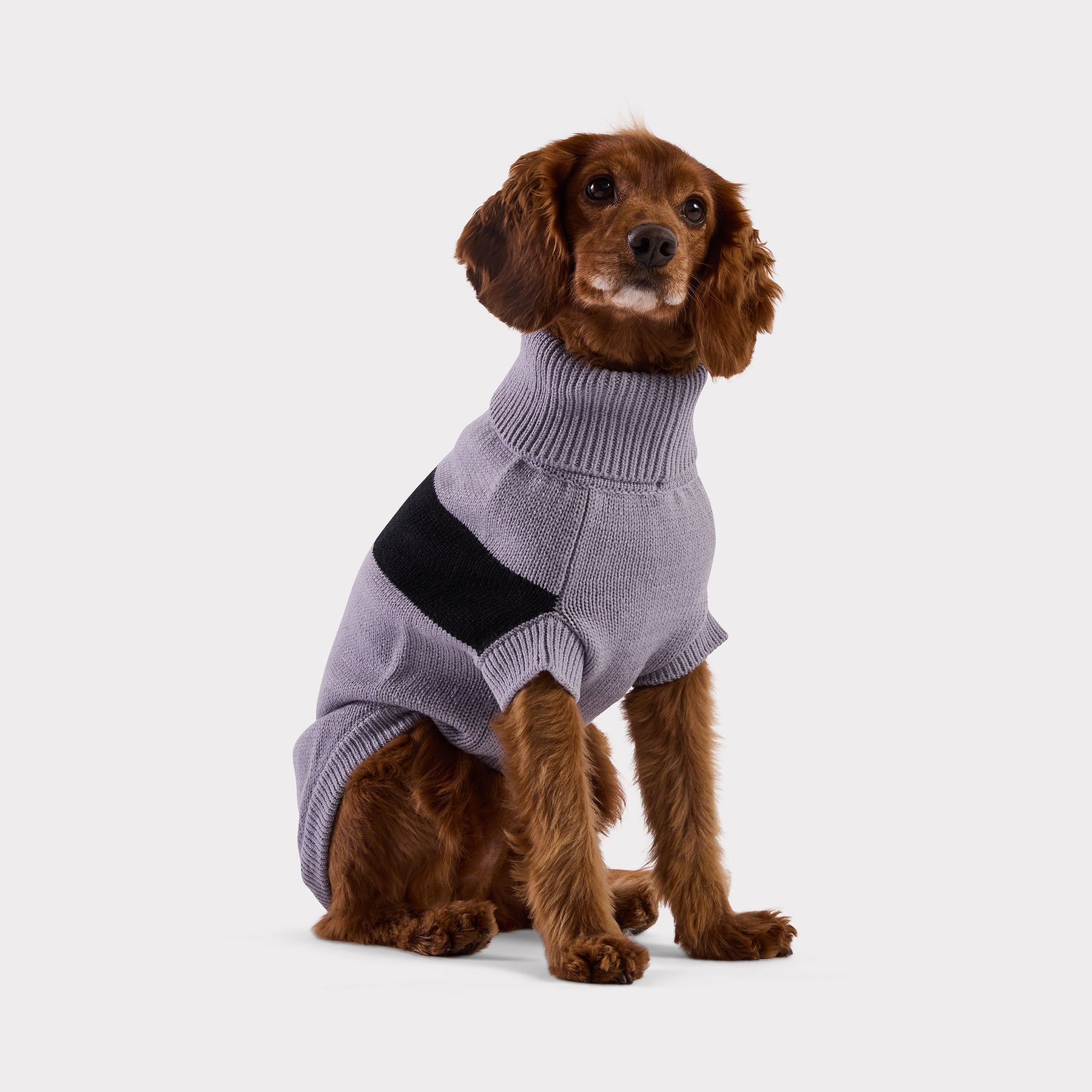 Catalyst Dog Sweater | Grey