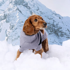 Catalyst Dog Sweater | Grey