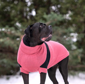Catalyst Dog Sweater | Pink