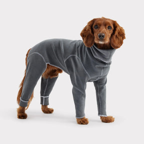 Gondola Dog Onesie | Charcoal GF Pet Official Online Store  GF Pet Official Online Store