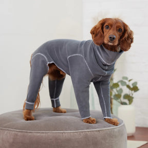Gondola Dog Onesie | Charcoal GF Pet Official Online Store  GF Pet Official Online Store