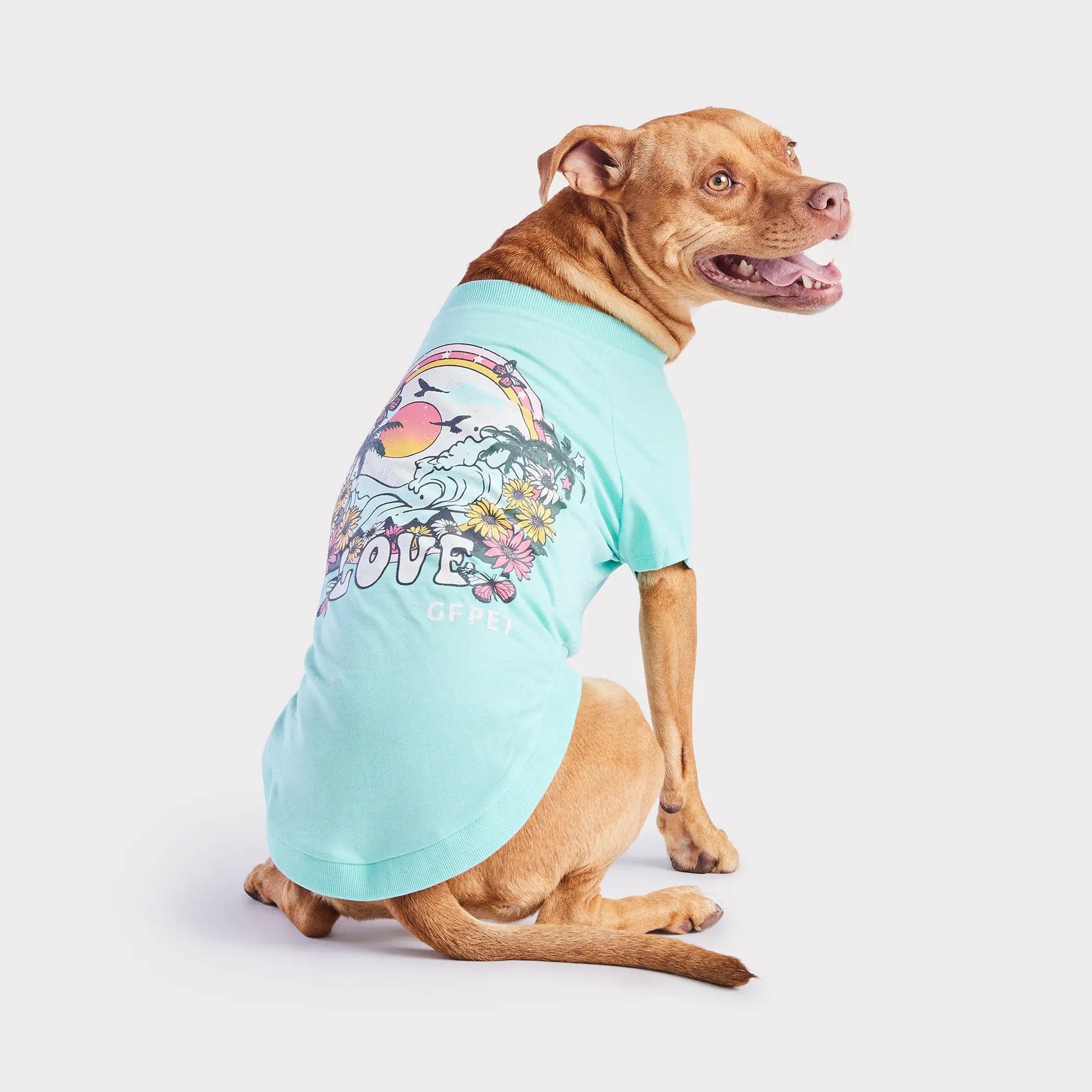 Graphic Tee Dog T-Shirt | Heather Aqua GF PET Apparel GF Pet Official Online Store