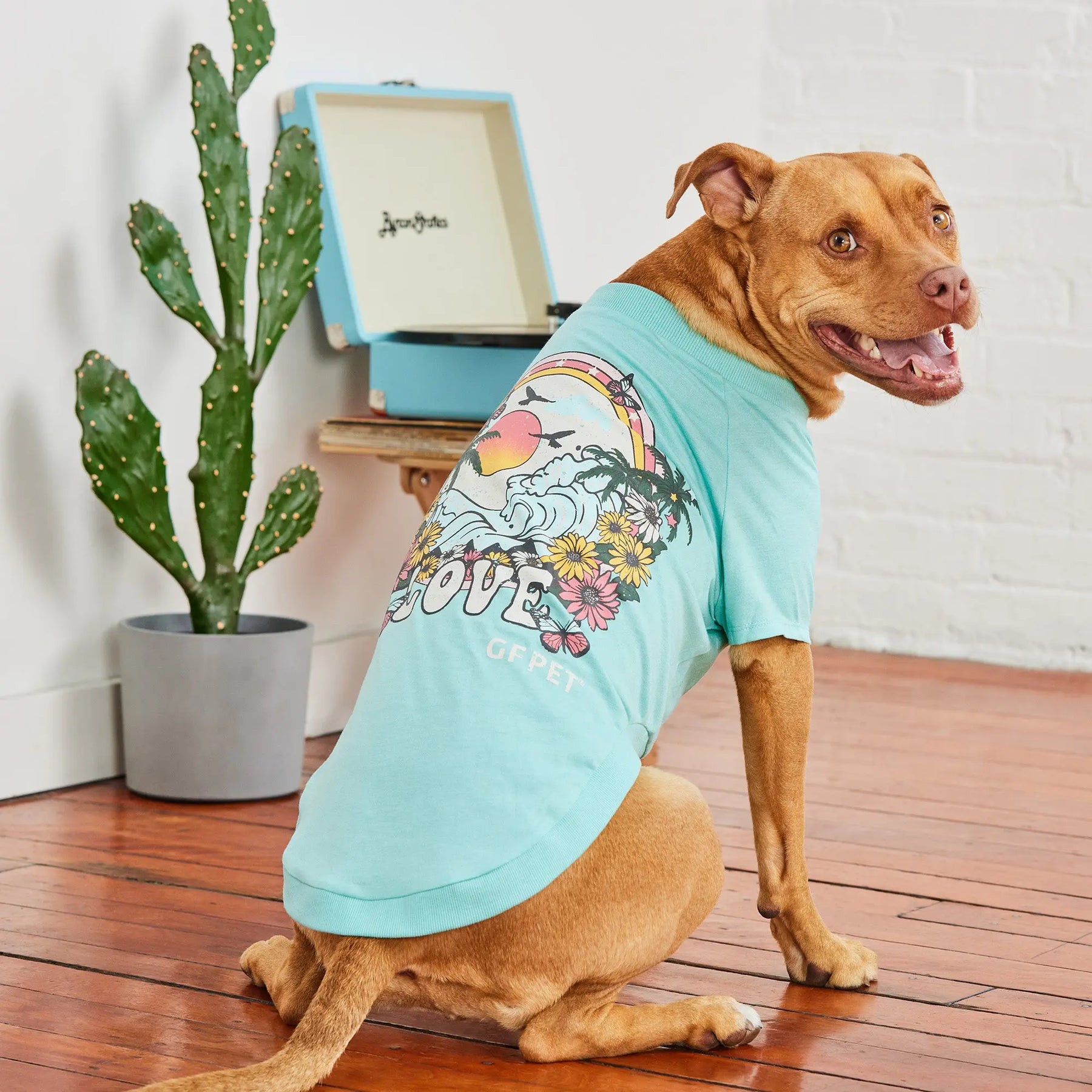 Graphic Tee Dog T-Shirt | Heather Aqua GF PET Apparel GF Pet Official Online Store