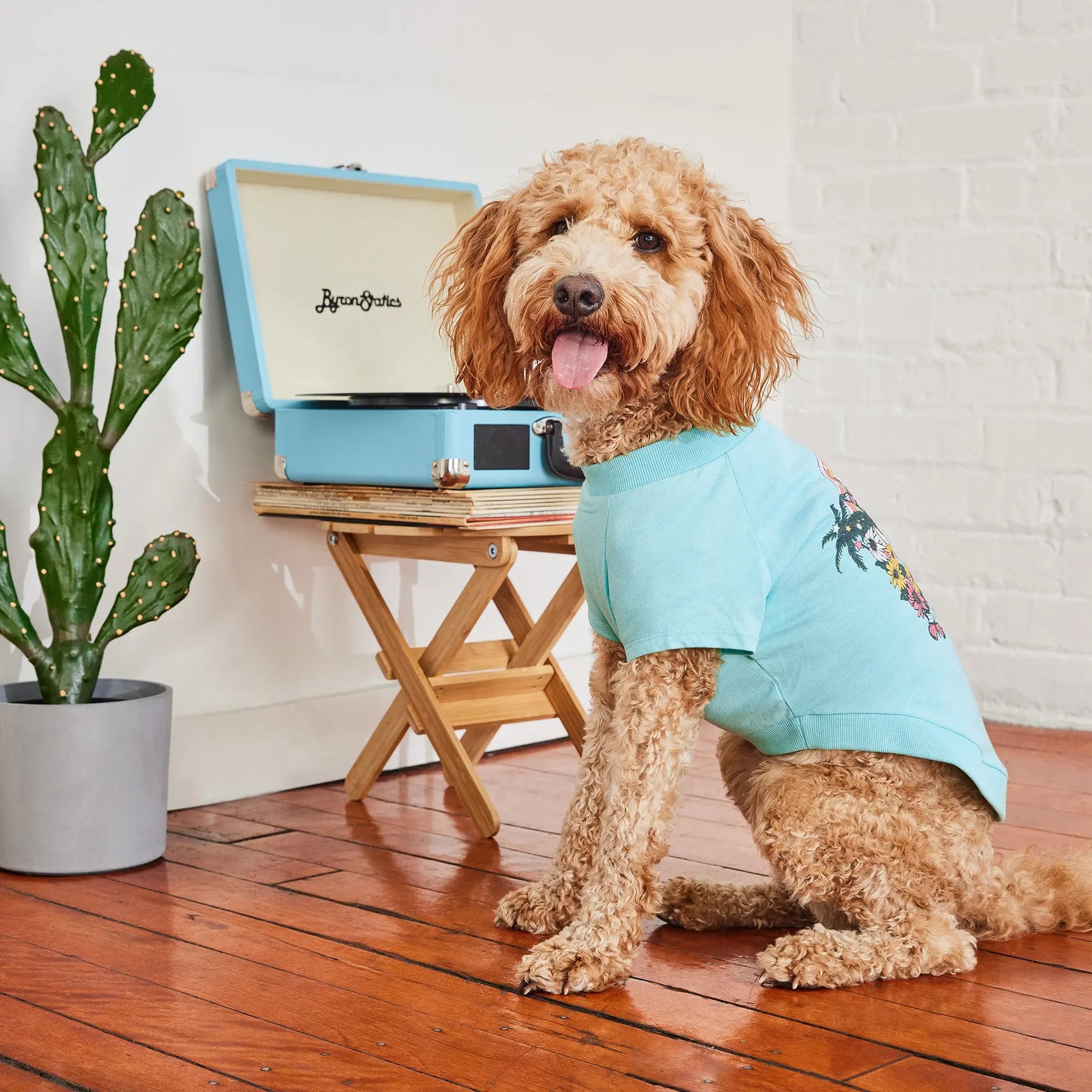 Graphic Tee Dog T-Shirt | Heather Aqua GF PET Apparel GF Pet Official Online Store