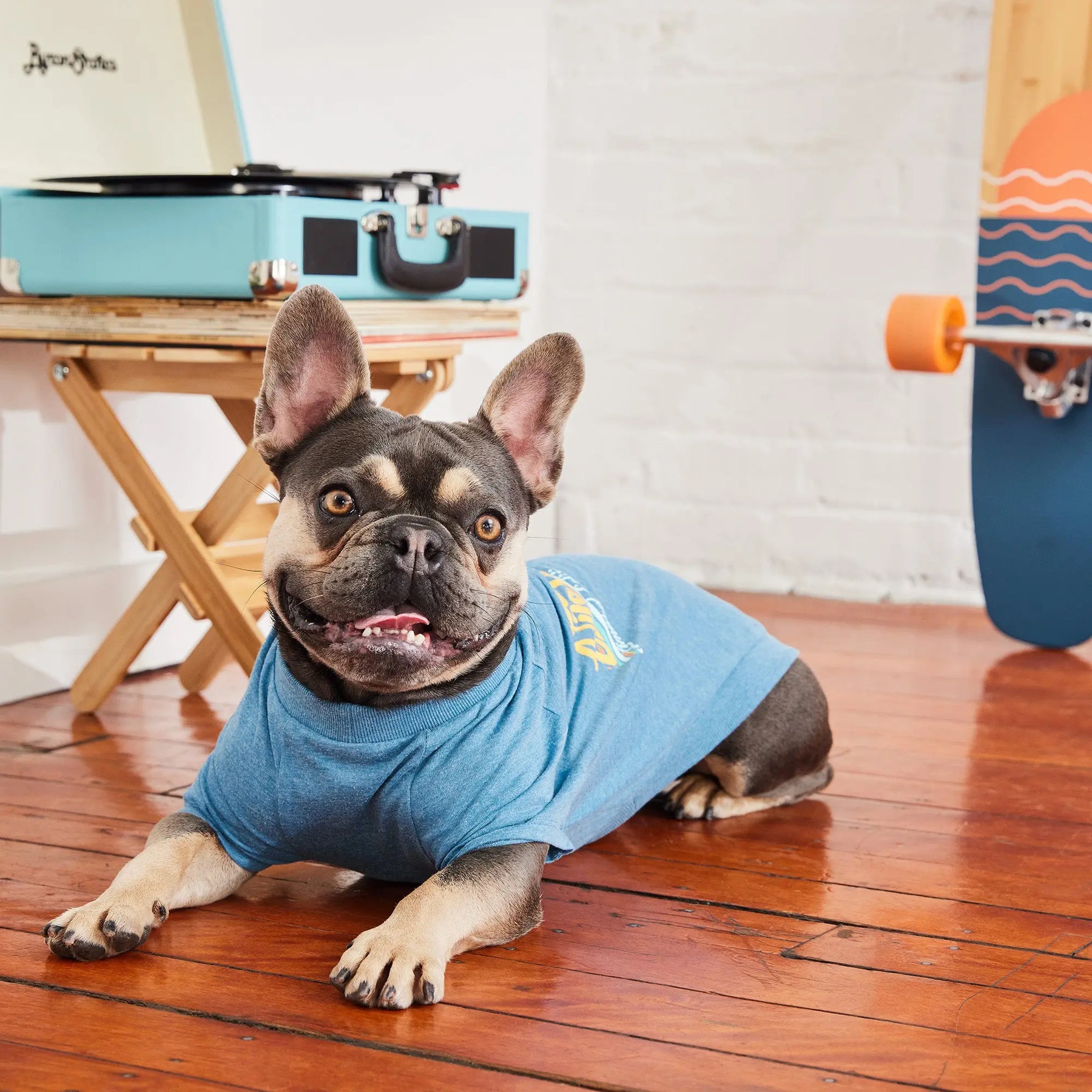 Graphic Tee Dog T-Shirt | Heather Blue GF PET Apparel GF Pet Official Online Store