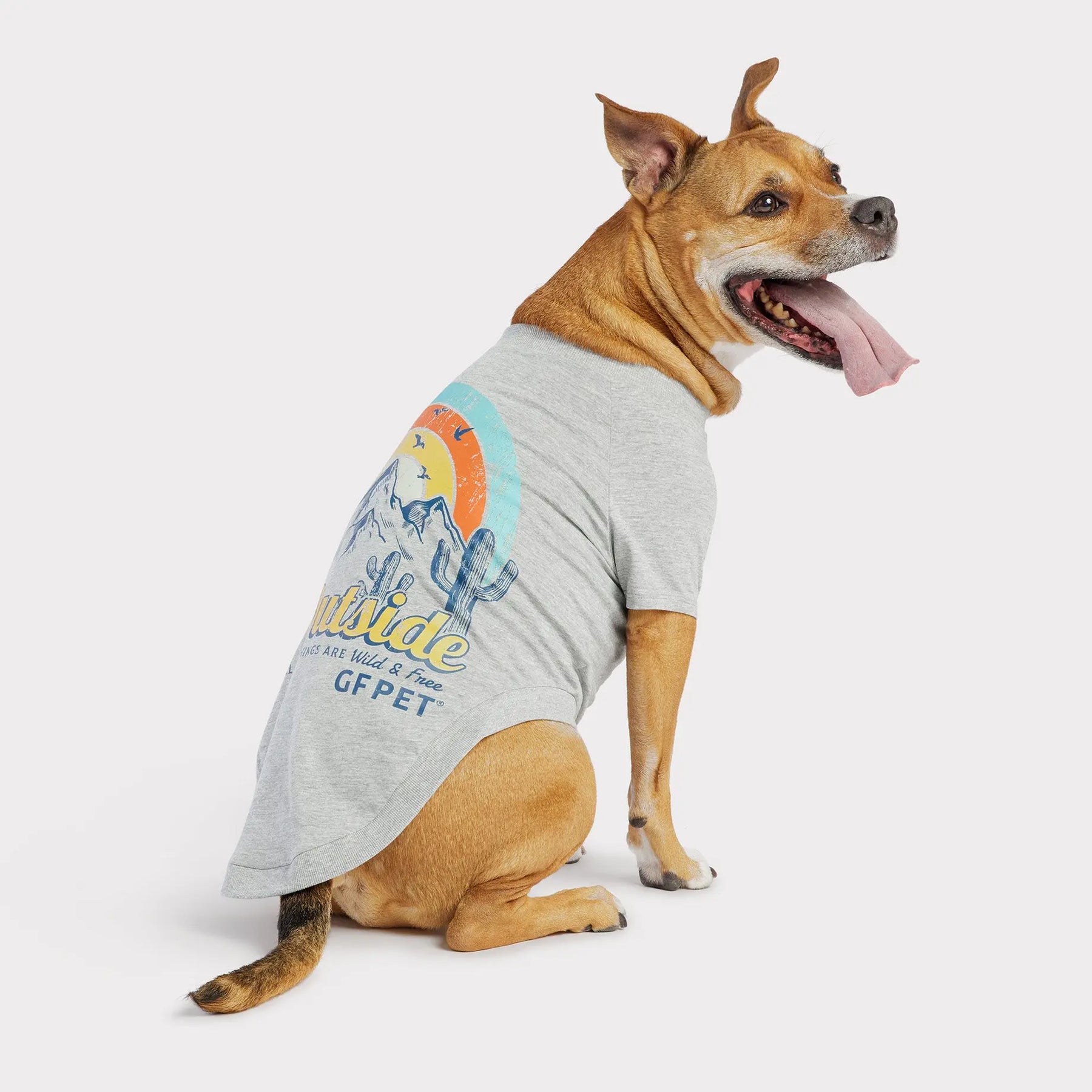 Graphic Tee Dog T-Shirt | Heather Grey GF PET Apparel GF Pet Official Online Store