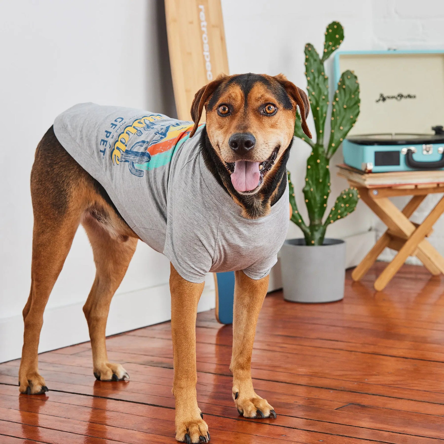 Graphic Tee Dog T-Shirt | Heather Grey GF PET Apparel GF Pet Official Online Store