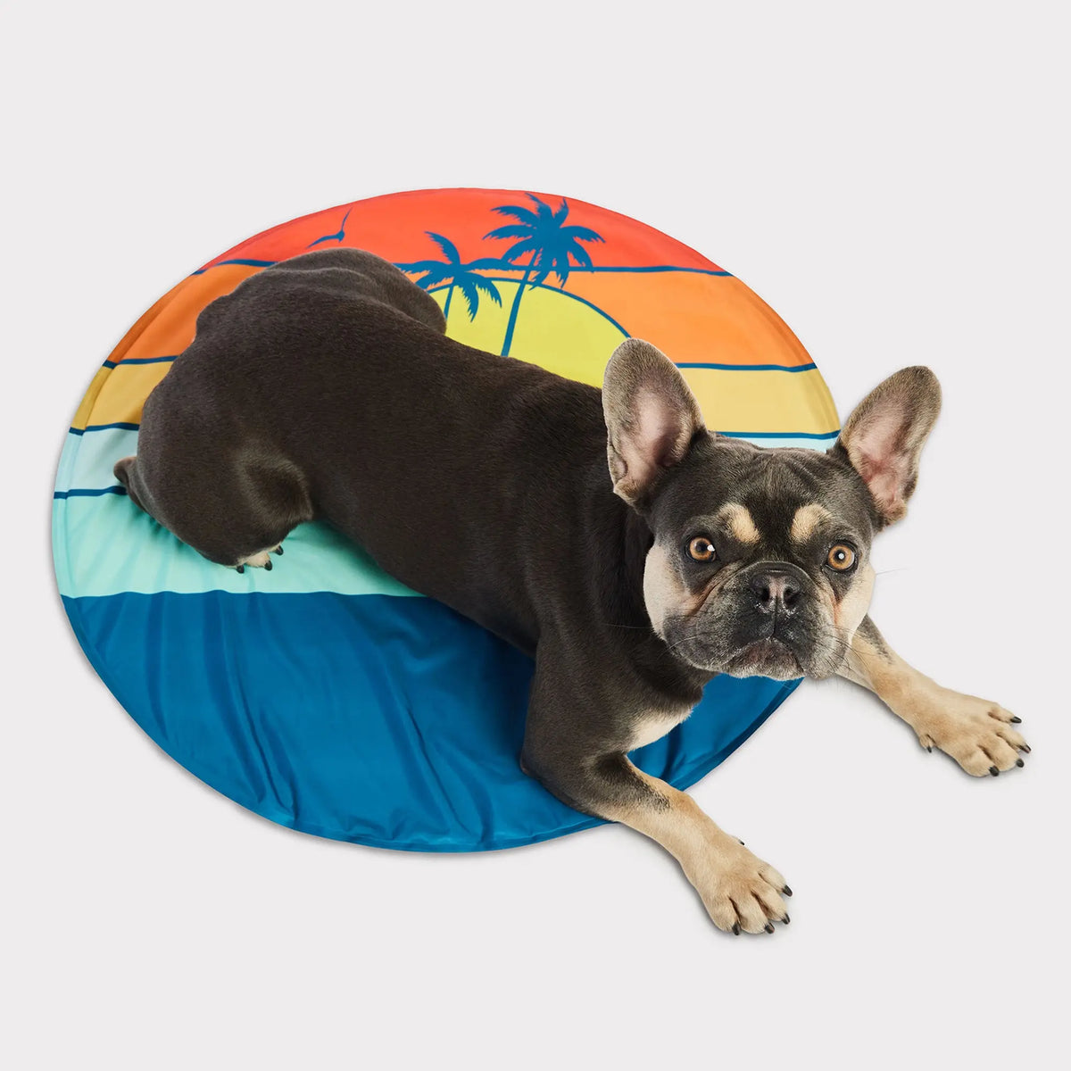 ICE MAT® Pet Cooling Mat | Dark Blue GF PET Cooling GF Pet Official Online Store