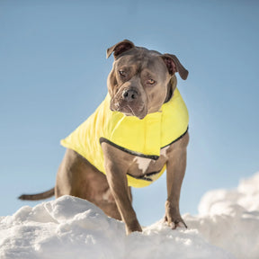 Reversible Chalet Dog Jacket | Sand / Neon Yellow GF PET Apparel GF Pet Official Online Store