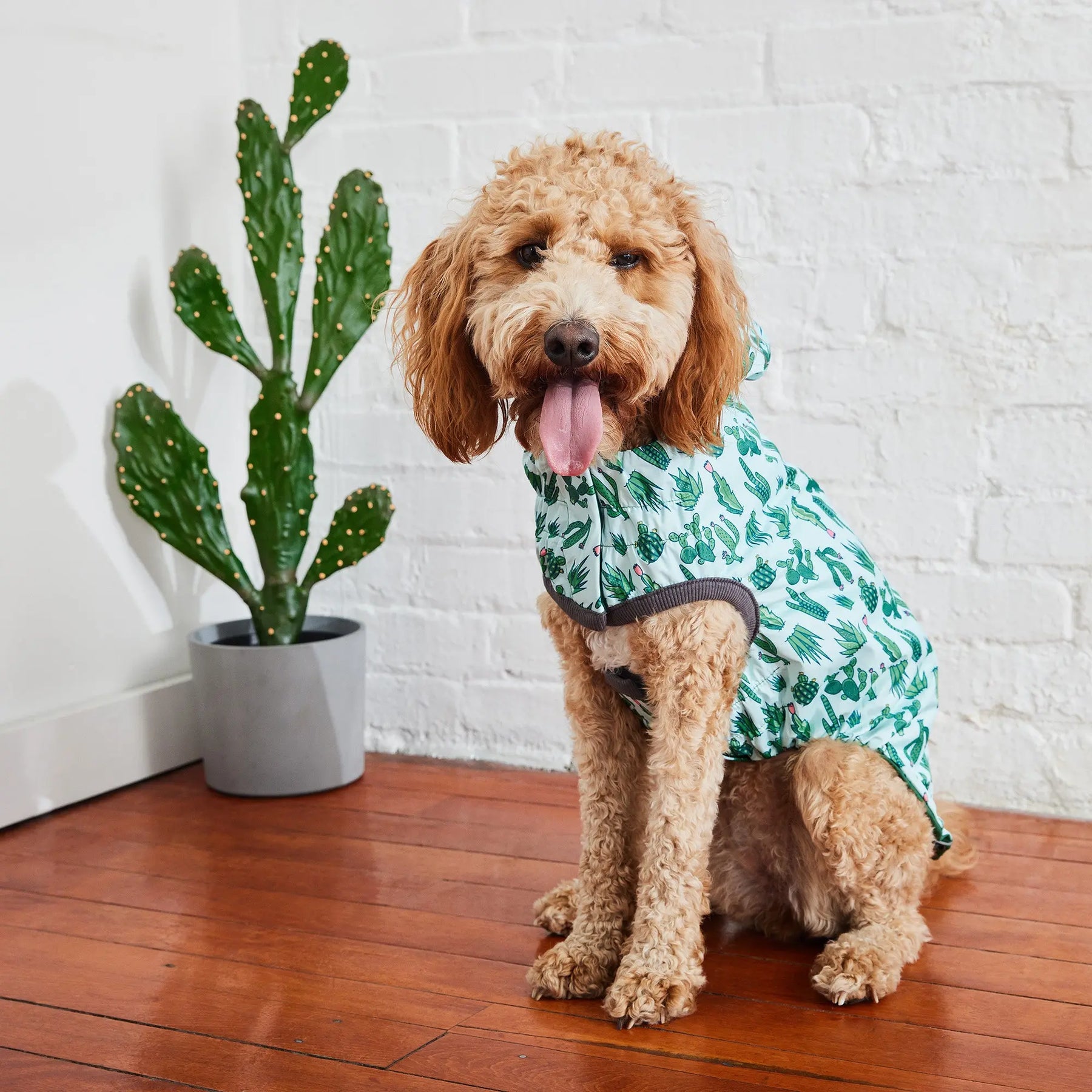 Reversible Dog Raincoat | Green Cactus GF PET Apparel GF Pet Official Online Store