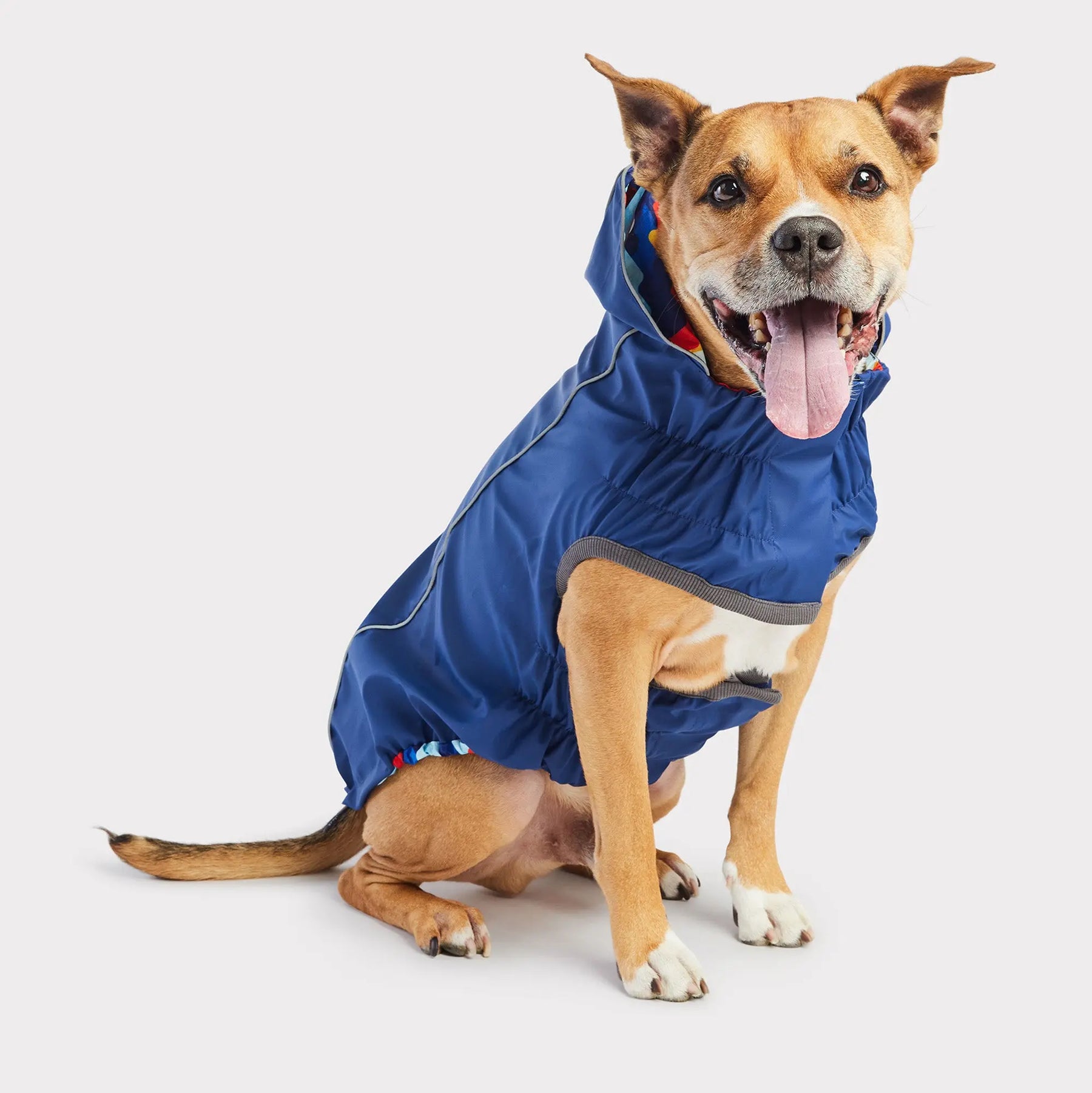 Reversible Dog Raincoat | Navy Retro GF PET Apparel GF Pet Official Online Store