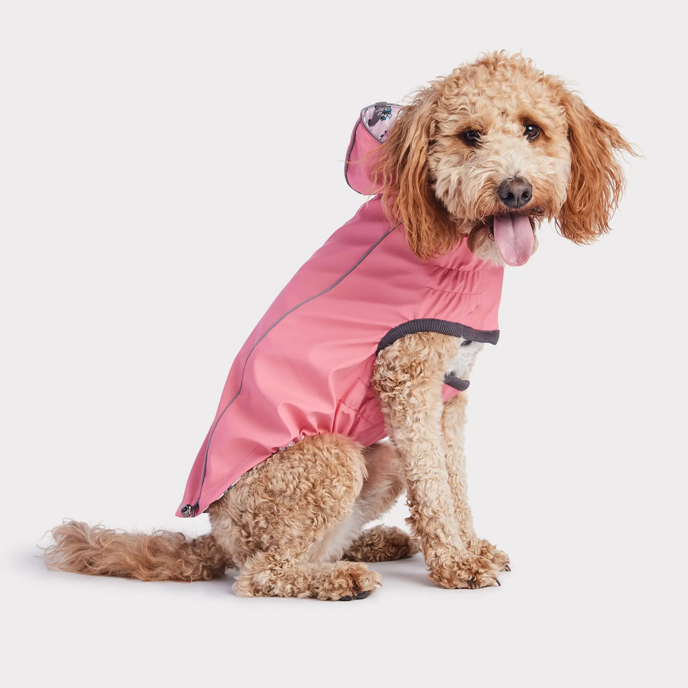 Dog Raincoat with Hood — Pink with Fiesta Print GF Pet®