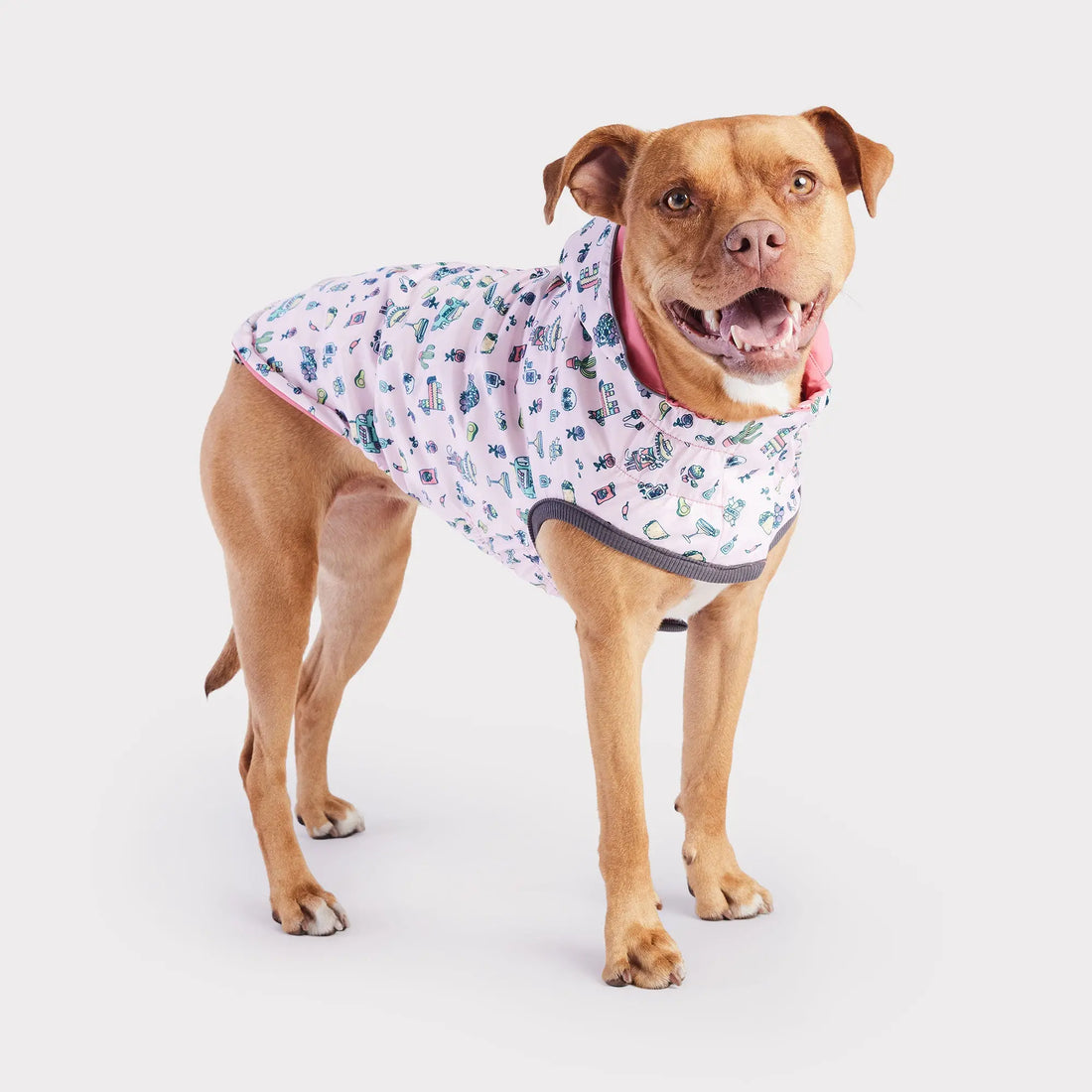 Dog raincoat Barbie Pink XS