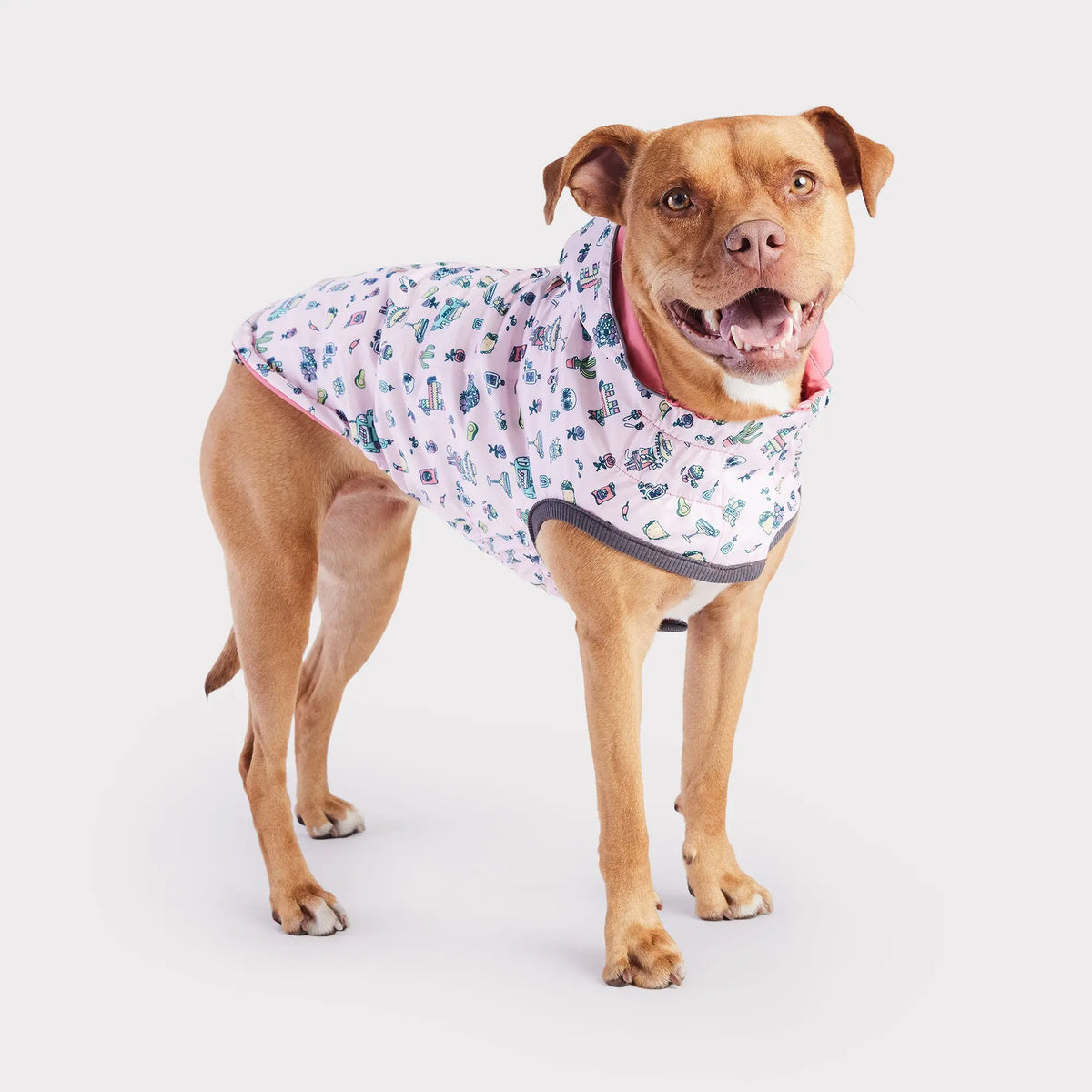 Dog Raincoat with Hood — Pink with Fiesta Print GF Pet®
