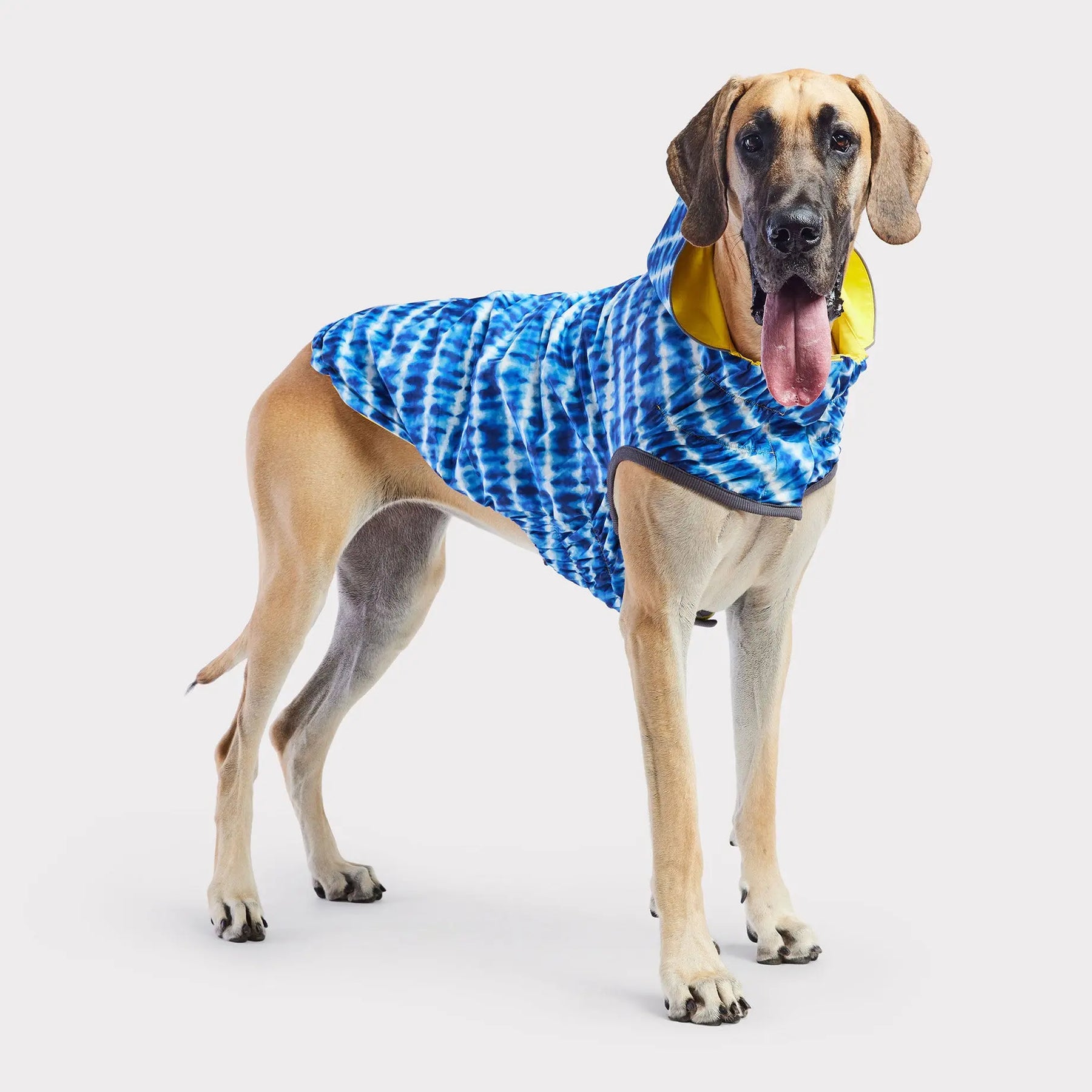 Reversible Dog Raincoat | Yellow Tie-Dye GF PET Apparel GF Pet Official Online Store