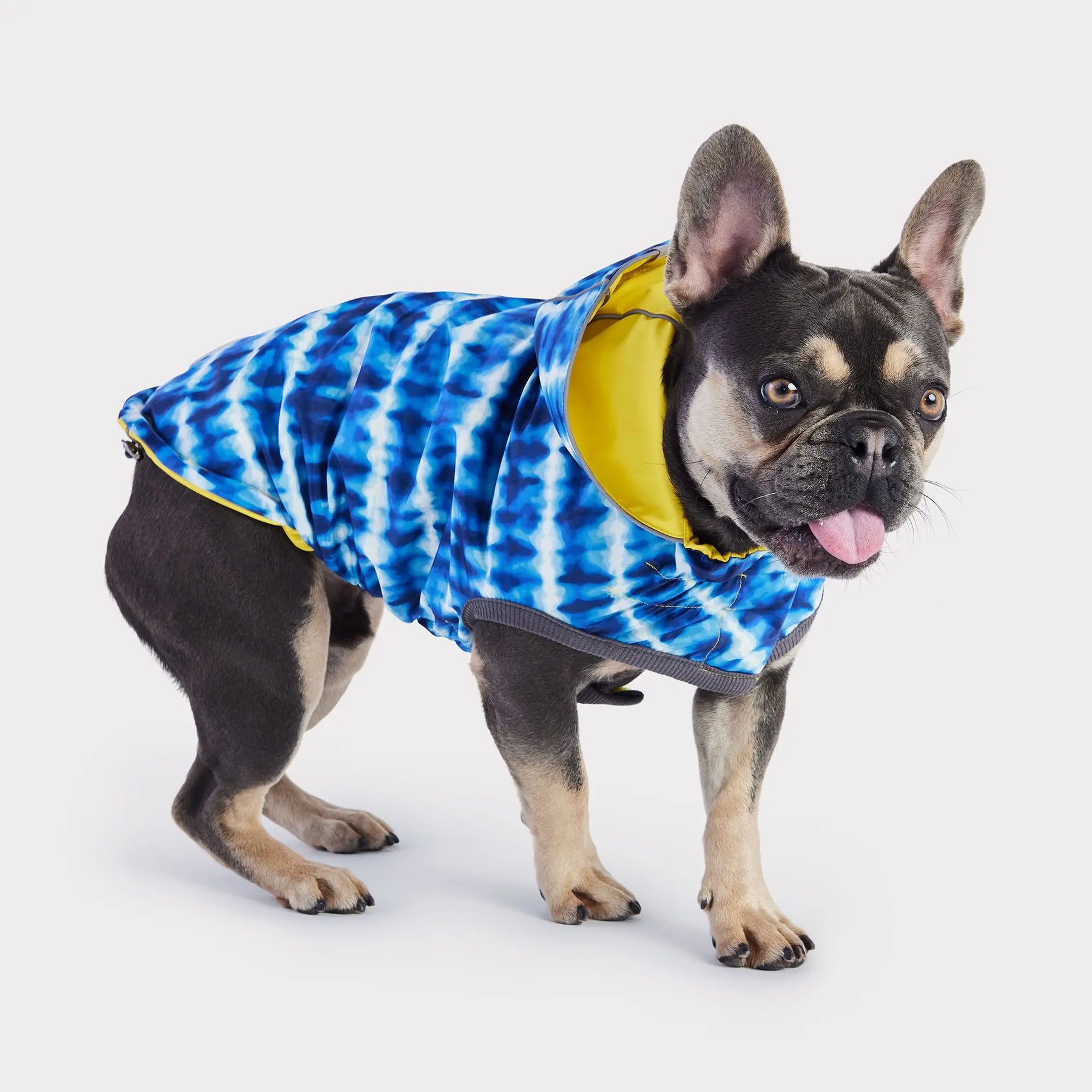 Reversible Dog Raincoat | Yellow Tie-Dye GF PET Apparel GF Pet Official Online Store