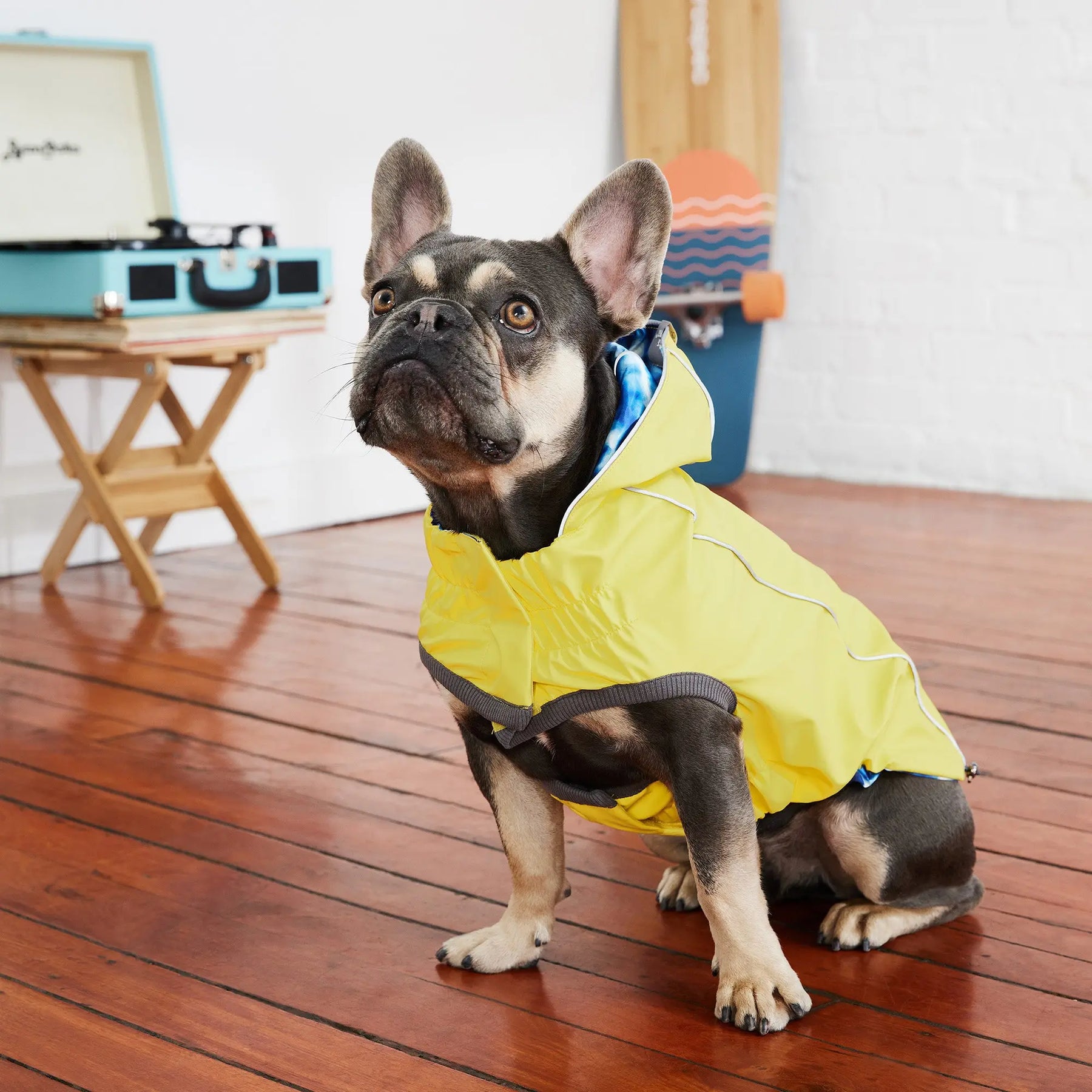 Reversible Dog Raincoat | Yellow Tie-Dye GF PET Apparel GF Pet Official Online Store