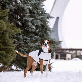 Storm Glide Parka | Frozen Tide GF Pet Official Online Store Apparel GF Pet Official Online Store