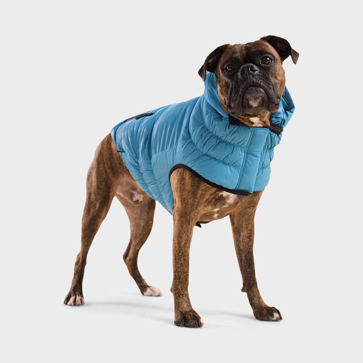 Storm Glide Parka | Frozen Tide (Copy) GF Pet Official Online Store Apparel GF Pet Official Online Store