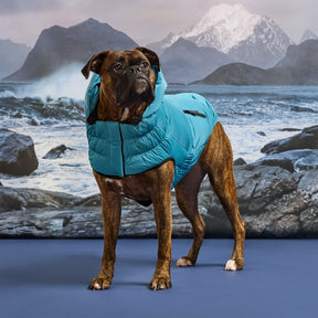 Storm Glide Parka | Frozen Tide (Copy) GF Pet Official Online Store Apparel GF Pet Official Online Store