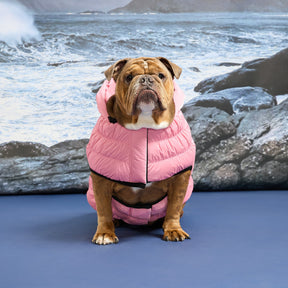 Storm Glide Parka | Shadow Moss GF Pet Official Online Store Apparel GF Pet Official Online Store