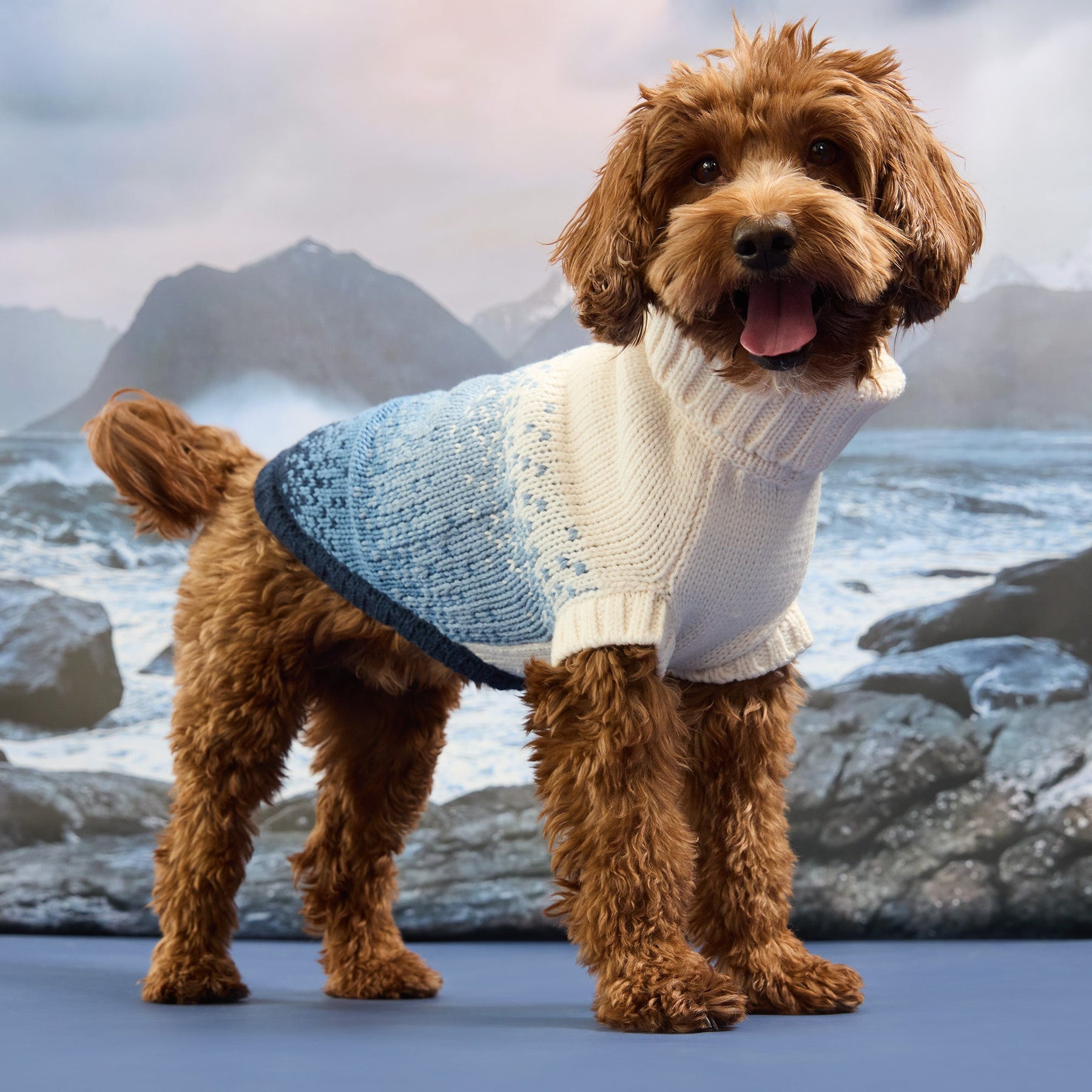The Coastline Knit Sweater | Beachwood GF Pet Official Online Store Apparel GF Pet Official Online Store