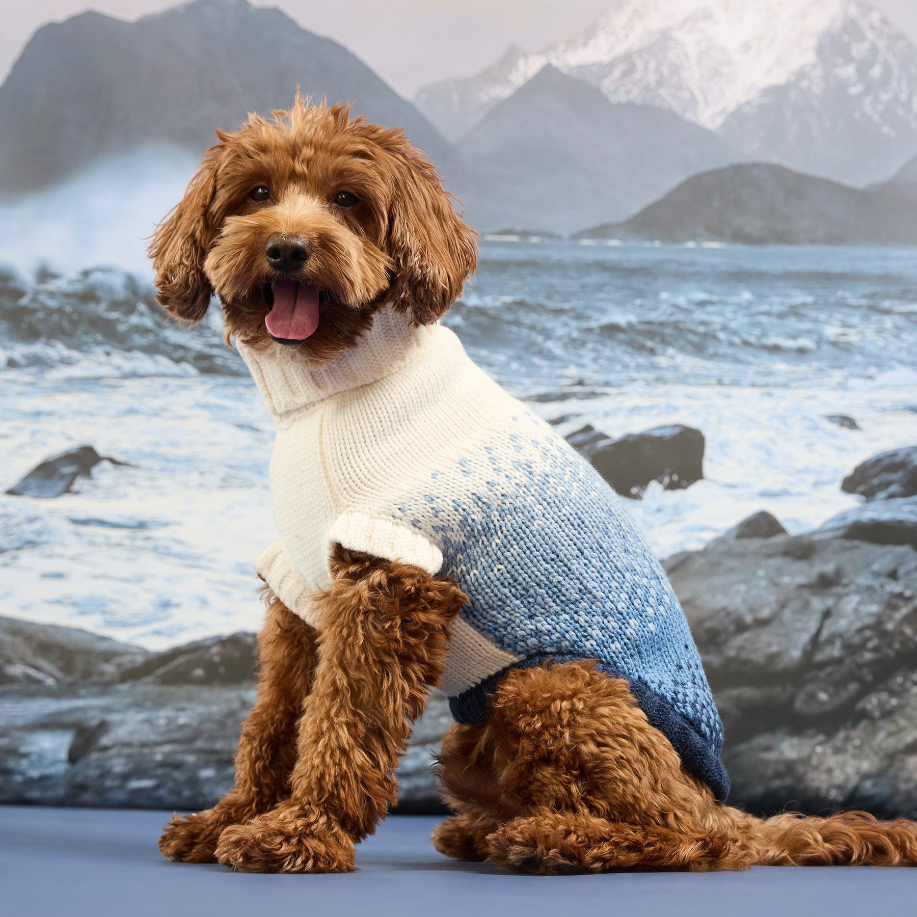 The Coastline Knit Sweater | Beachwood GF Pet Official Online Store Apparel GF Pet Official Online Store