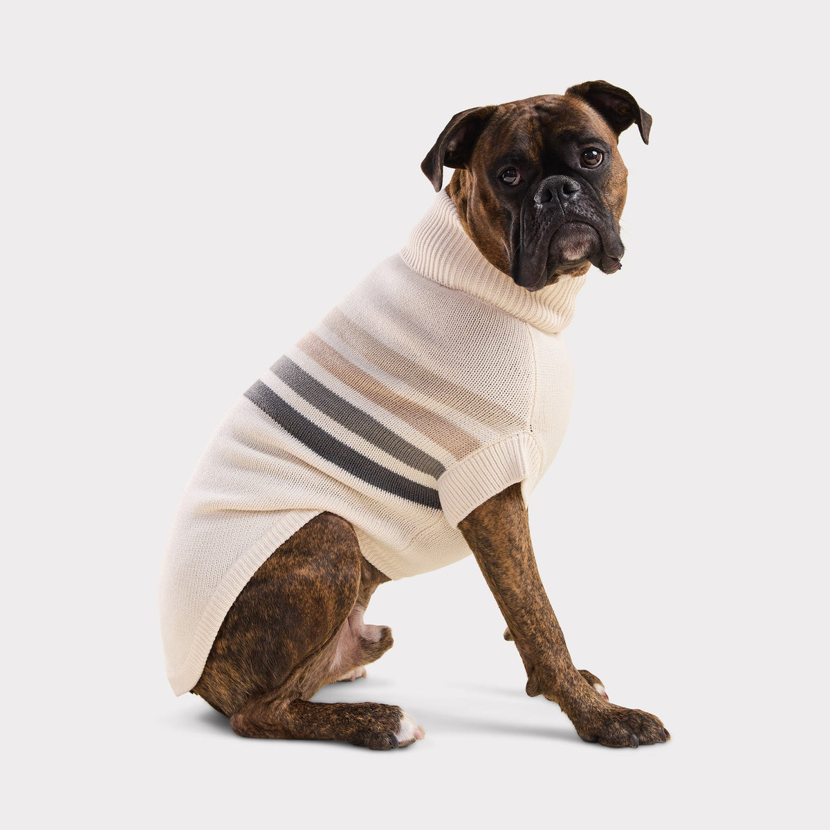 The Coastline Knit Sweater | Blue Ice GF Pet Official Online Store Apparel GF Pet Official Online Store