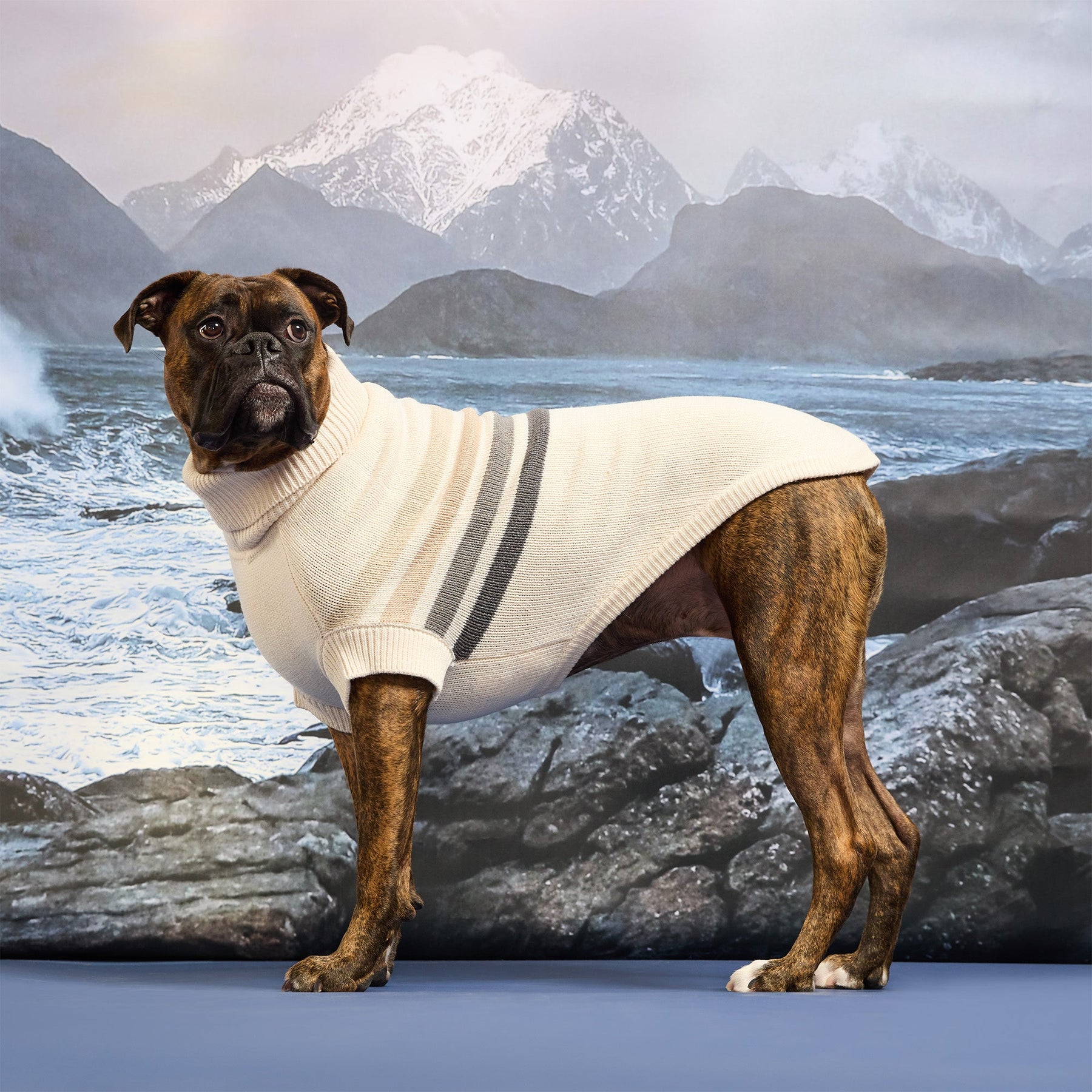 The Coastline Knit Sweater | Blue Ice GF Pet Official Online Store Apparel GF Pet Official Online Store
