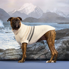 The Coastline Knit Sweater | Blue Ice GF Pet Official Online Store Apparel GF Pet Official Online Store