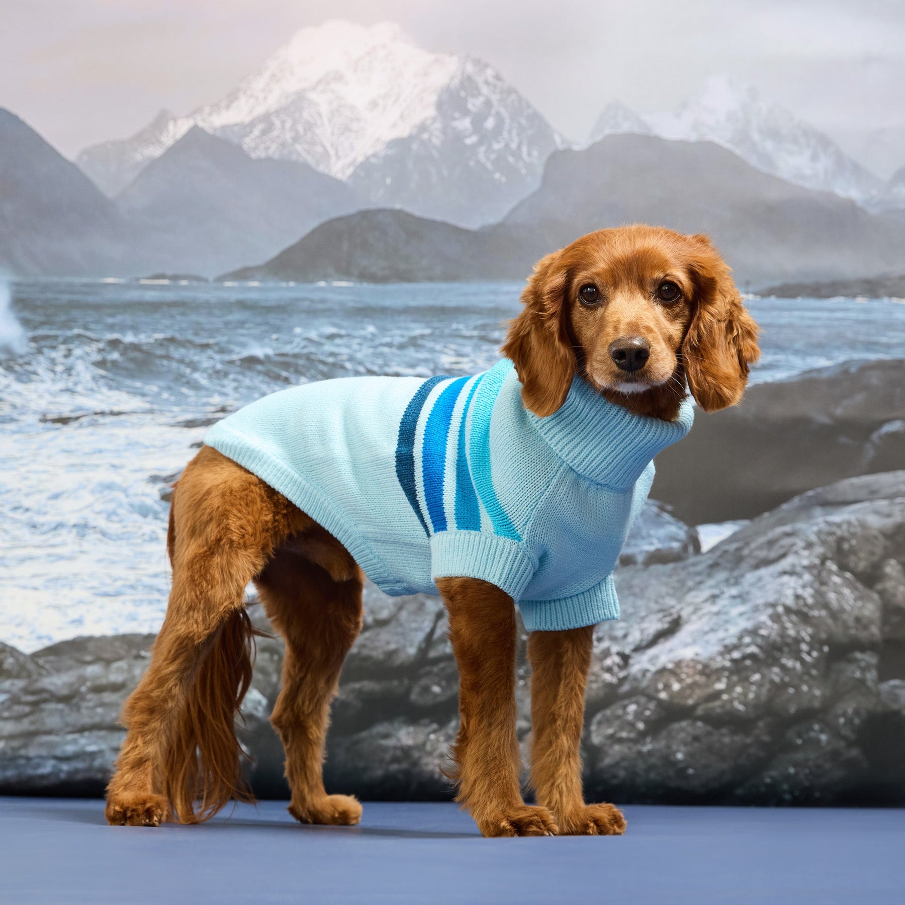 The Coastline Knit Sweater | Pink Wave GF Pet Official Online Store Apparel GF Pet Official Online Store