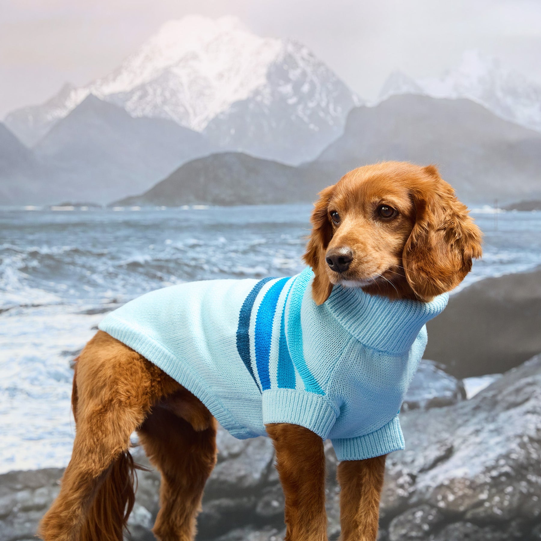The Coastline Knit Sweater | Pink Wave GF Pet Official Online Store Apparel GF Pet Official Online Store
