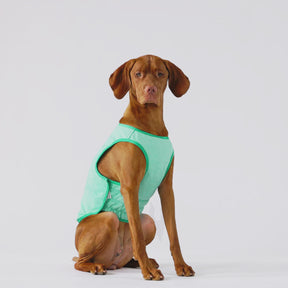 Elasto-Fit® Ice Vest® | Dog Cooling Vest | Aqua