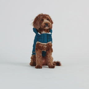 InFiber™ Nordic Dog Parka | Dark Teal