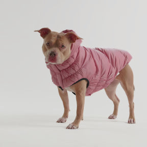 Lunar Glow Dog Parka | Pink