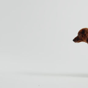 Good Vibes Dog Hoodie | Blue