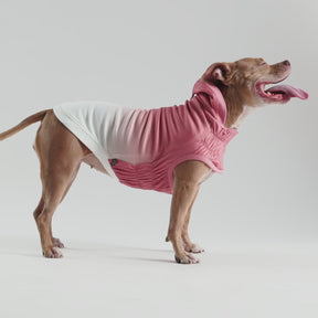 Good Vibes Dog Hoodie | Pink