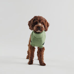Catalyst Dog Sweater | Green