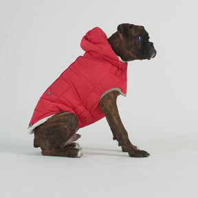 Parka nordique pour chien InFiber™ | Cayenne