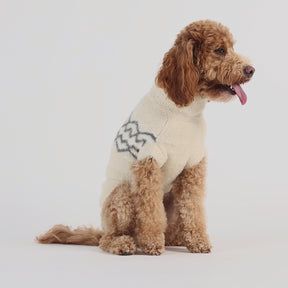 Pull pour chien flou | Sable