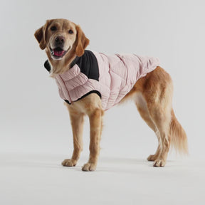 Diamond Dog Puffer | Pink