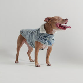 Northside Denim Dog Jacket | Light Wash
