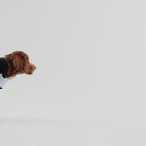 Diamond Dog Puffer | Blue