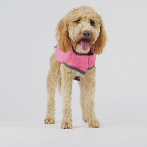 Reversible Dog Raincoat | Pink Fiesta