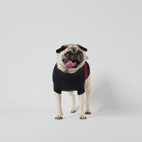 Retro Dog Sweater | Navy